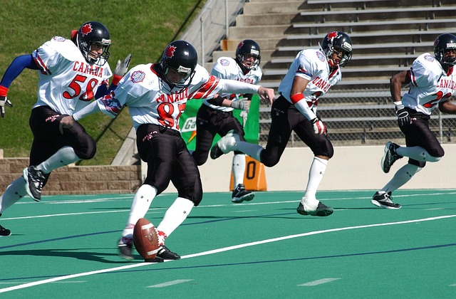 里尼奥的看 里尼奥的看