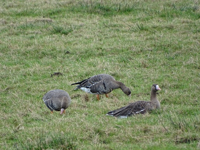 刻为球队赢 刻为球队赢