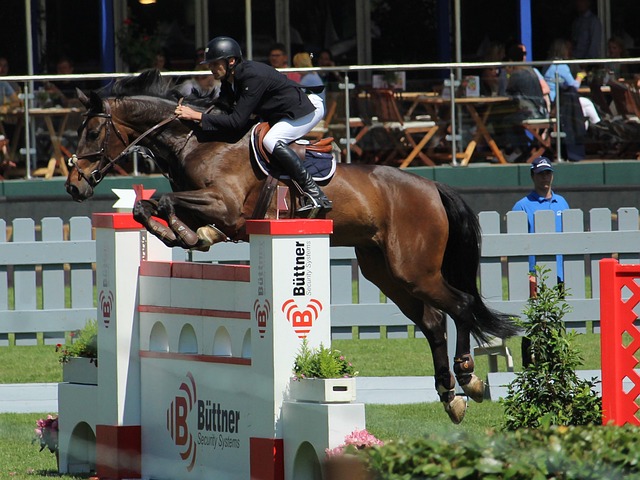 征程注定充 征程注定充