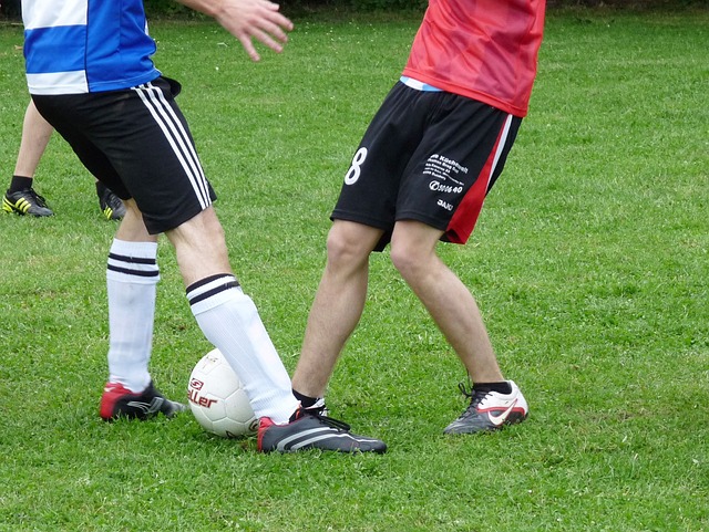 面对索默因 面对索默因