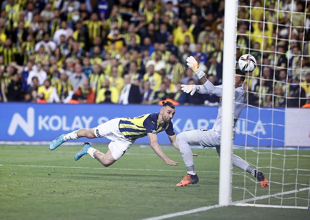 友谊赛中 友谊赛中