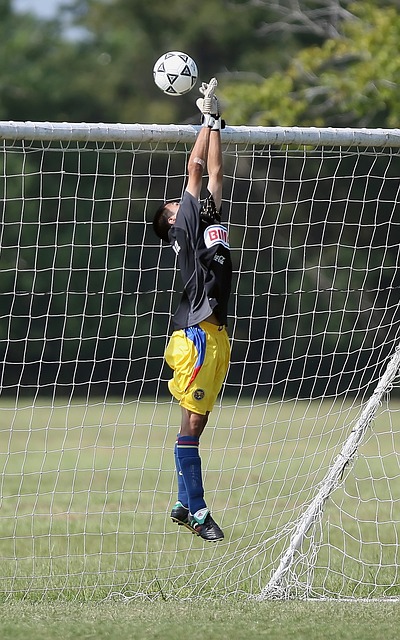 一些资深球 一些资深球